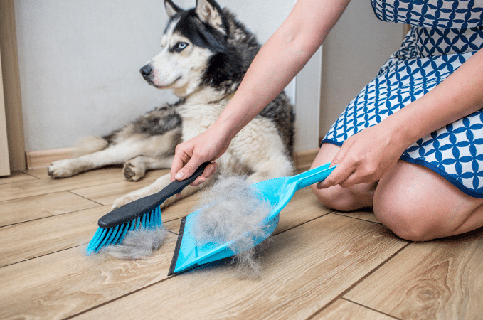 Fusselbürste / Fusselrolle für Tierhaare, Tierhaarentferner für